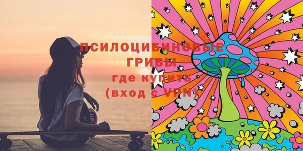дживик Баксан