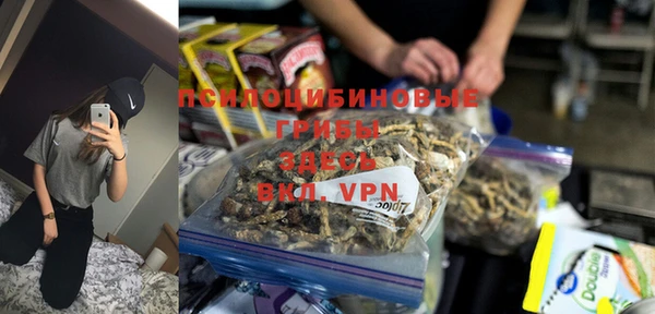 дживик Баксан